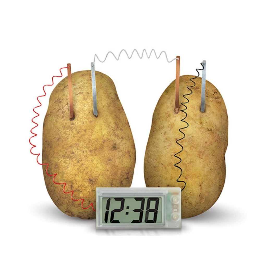 4M Kidz Labs Green Science Potato Clock