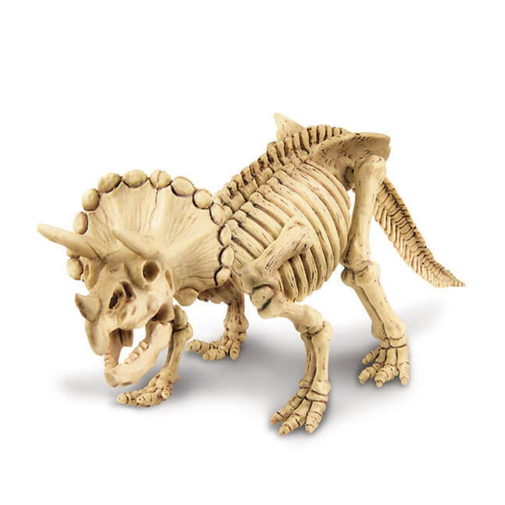 4M Kidz Labs Triceratops Skeleton Excavation
