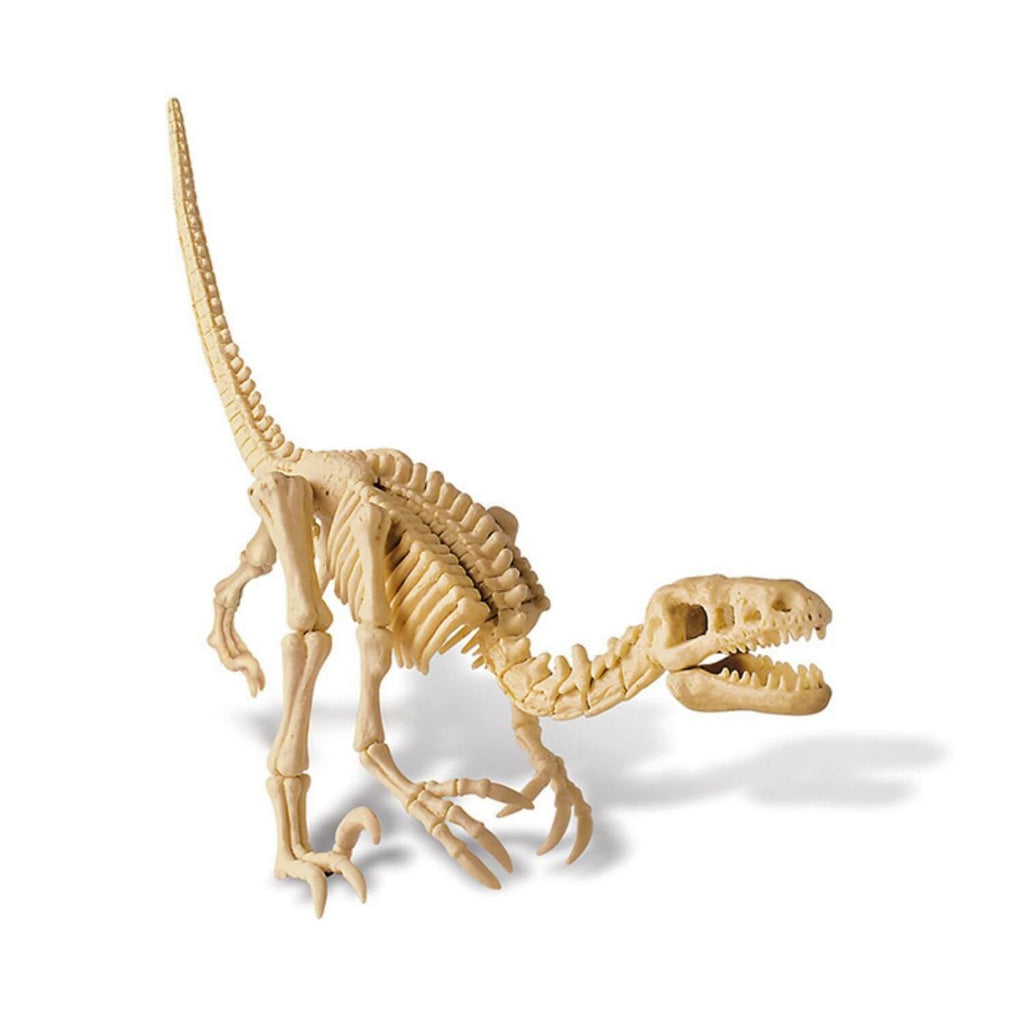 4M Kidz Labs Velociraptor Skeleton Excavation
