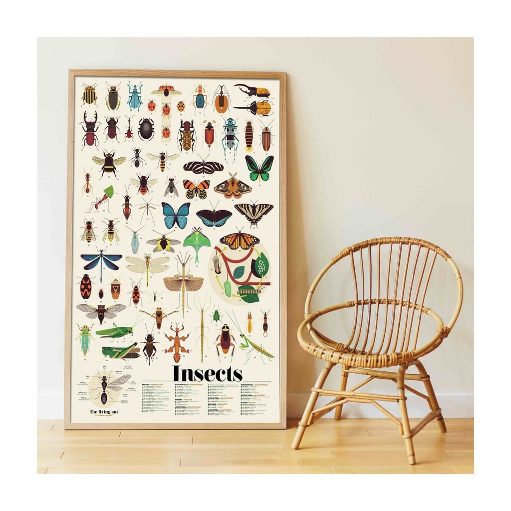 Poppik Sticker Poster Discovery - Insects 7
